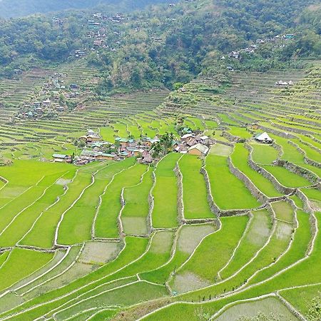 Banaue Transient House Bed And Breakfast 외부 사진