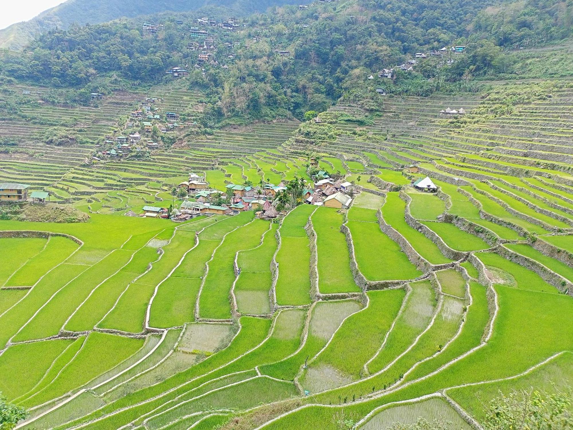 Banaue Transient House Bed And Breakfast 외부 사진
